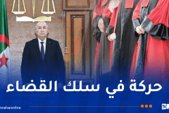 الرئيس تبون يجري حركة جزئية في سلك رؤساء المجالس القضائية والنواب العامين