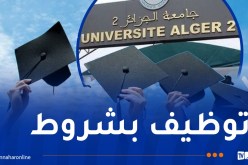 برخصة استثنائية.. توظيف حاملي شهادات اللغة الانجليزية بالجامعات