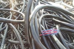 شرطة البليدة تضع حدا لعصابات سرقة الكوابل وتوقف 28 شخصا