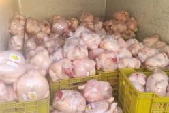 سوق أهراس: حجز كمية معتبرة من اللحوم الفاسدة 