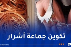 الإطاحة بعصابة “العوينة” و “المارطو” لسرقتها 500 متر من الكوابل النحاسية بعين البنيان