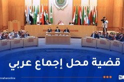 جامعة الدول العربية : تصريحات ترامب بشأن تهجير الفلسطينيين مرفوضة عربياً ودولياً