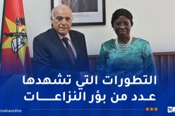 عطاف يعقد جلسة عمل مع نظيرته من جمهورية موزمبيق