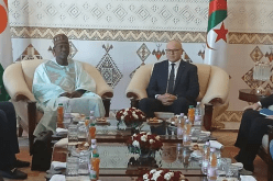 الجزائر-النيجر.. تعزيز العلاقات الثنائية في مجال المحروقات