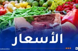 الدجاج بـ353 دج.. هذه أسعار اللحوم والخضر أياما قبل رمضان