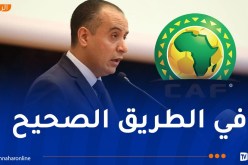 صادي: “الجزائر يجب أن تكون ضمن الهيئات التنفيذية للكاف”