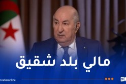 الرئيس تبون: الجزائر لا تريد التدخل في الشأن الداخلي المالي