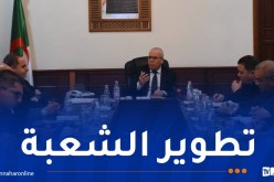 وزير الفلاحة يجتمع مع مهنيي شعبة البطاطا