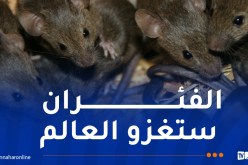 دراسة أمريكية تحذر: عواقب وخيمة ستعرفها المدن العالمية