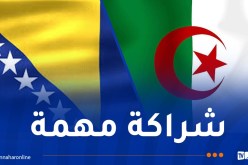 وزير الطاقة البوسني في زيارة عمل إلى الجزائر