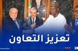 عرقاب يستعرض مستجدات تنفيذ مشاريع تنموية مع وزير البترول النيجيري