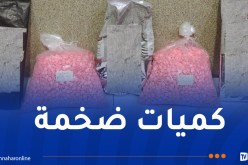 حجز قرابة 17 ألف قرص إكستازي بميناء الجزائر