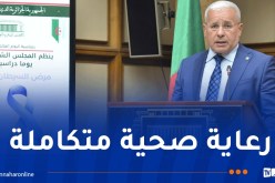 بوغالي: المجلس الشعبي الوطني ملتزم بتحسين التكفل بمرضى السرطان