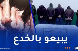 الجلفة: الدرك يحجز 50 قنطارا من اللحوم