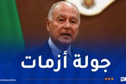 أبو الغيط: إخلاء فلسطين من سكانها الأصليين أمر لا يمكن قبوله