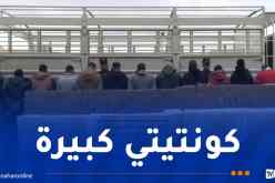 البيض: حجز أكثر من 4 قناطير من المخدرات وتوقيف 13شخصا من بينهم إمرأة