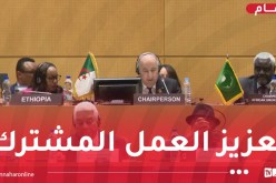 الرئيس تبون: الجزائر ستظل شريكا فاعلا في دعم الآلية الإفريقية