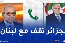 وزير الخارجية يتلقى اتصالا من رئيس الحكومة اللبنانية