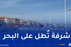 أكشاك ومقاهي.. تهيئة سطح موقف مصطفى بونطة بالجزائر الوسطى