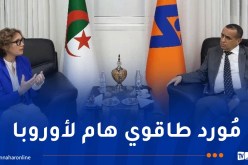 سونلغاز تعقد إجتماعا هاما حول تصدير الكهرباء النظيفة إلى أوروبا عبر إيطاليا