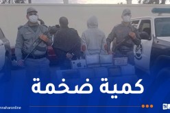 مخبأة بطريقة غريبة.. حجز أكثر من 28 كلغ كوكايين بالشلف