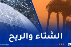 أمطار رعدية.. رياح قوية وزوابع بهذه الولايات