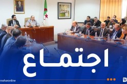 غريب يجتمع مع ناشطين في صناعة قطع غيار السيارات