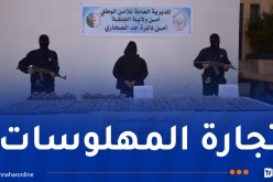 الجلفة: توقيف شخص وضبط أزيد من 38 ألف قرص مهلوس