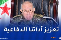 الفريق أول شنڤريحة يُشيد بالحركية النشطة للدبلوماسية الجزائرية