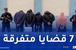 العاصمة: توقيف 25 شخصا وحجز 3 كلغ كوكايين و13 ألف قرص مهلوس