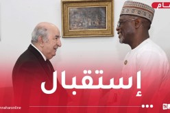 رئيس الجمهورية يستقبل وزير الخارجية النيجري