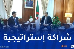 توسيع التعاون بين سوناطراك وسينوبك الصينية
