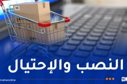 1387 قضية نصب إلكتروني في 2024