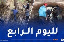 تواصل عملية البحث عن عون الحماية المدنية المفقود بعين تموشنت