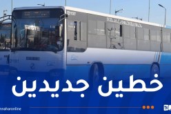 ايتوزا.. إضافة خطيين لنقل المصلين إلي جامع الجزائر 