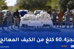 إحباط محاولة تهريب المخدرات والمؤثرات العقلية ببشار