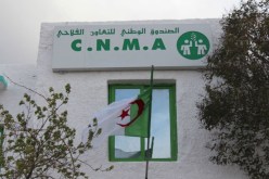 شبابيك للمؤسسات الناشئة عبر وكالات شركة التأمين “CNMA”
