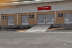 زيتوني: إعادة بعث شركة “ماقرو”
