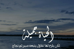 قوانين جميلة لحياة أجمل