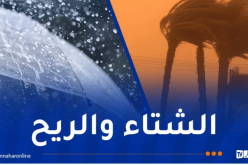 أمطار رعدية ورياح قوية على هذه الولايات