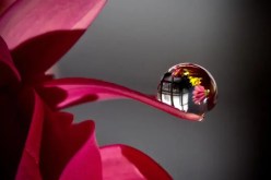 من أجمل ما قرأت