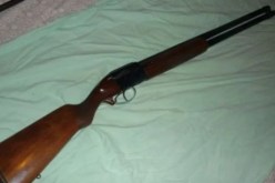 إبنة وزير سابق متهمة بحيازة بندقية صيد بدون رخصة بالشراقة