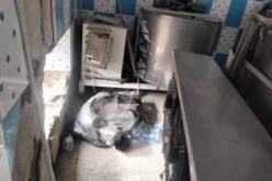 حجز 60 لتر من حليب البقر الفاسد