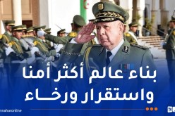 شنقريحة:التحديات الأمنية التي تواجه عالمنا تتطلب تعزيز التعاون متعدد الأطراف