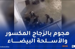 نشطاء من اليمين الفرنسي المتطرف يشنون هجوما على المهاجرين