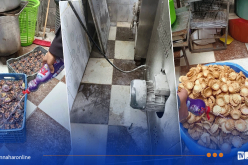 غليزان.. حجز وإتلاف 77 كلغ من الحلويات بسبب غياب النظافة 