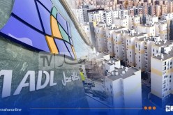 هذا عدد المكتتبين المقبولين في عدل 3