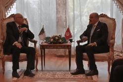وزير الخارجية يتحادث مع نظيره التونسي بالقاهرة