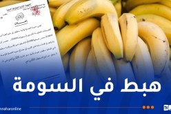 الموز بـ 250 ديناراً فقط في الأسواق والفضاءات التجارية