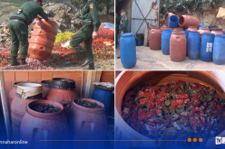 درك الشلف يُتلف 223 برميلاً لمخلّلات وزيتون غير صالحة للاستهلاك